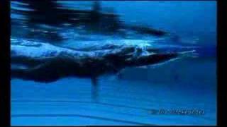 Ian Thorpe swimming freestyle 1