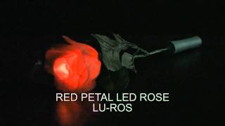 Red Petal LED Rose