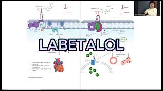 LABETALOL mecanismo de Acción  💊  #antihipertensivos #farmacia