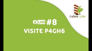 #8 LIVE - P4GH6