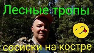 Лесные тропы , сосиски на костре.