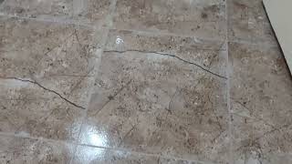 Toilet waterproofing Epoxy grouting finishing@SAIGURUWATERPROOFING 9902914956