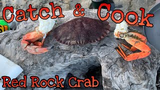 Crab Snare Fishing | Catch and Cook on the Beach! | Red Rock Crab