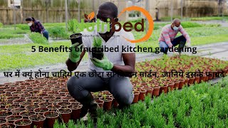 5 benefits of nutribed .(घर में क्‍यूं होना चाहिये एक छोटा सा किचन गार्डन, जानिये इसके फायदे)