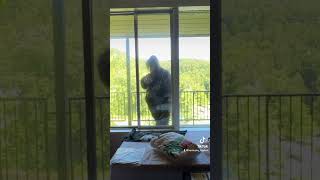 BIGFOOT Paid Me An Unsolicited Visit!! #bigfoot #funny #lol #fyp #shorts #trending #wow #viral #haha