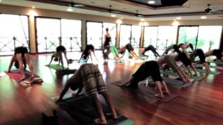 Yoga Retreat Napa Wine Country California 2015 Best Yoga Retreat for Foodies, Yoga and Wine Tasting