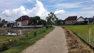 SEPERTI LUKISAN !!! Suasana pedesaan Tulungagung Rumah Mewah TKI Di Pinggiran Sawah