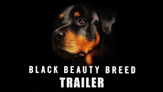 BLACK BEAUTY BREED Official Trailer (2014) Rottweiler Documentary