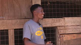 CROP AND CULTURE featuring BENJAMIN MUTHURI | CHICKEN FARM | POULTRY FARMING