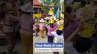 Piodalan di Luwu - SULSEL #shorts #hindu #luwu #live #love #like #shortvideo #short