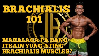 BRACHIALIS MUSCLE 101/ MGA DAPAT MONG MAUNAWAAN KUNG GUSTO MO NG MALAKING BRASO