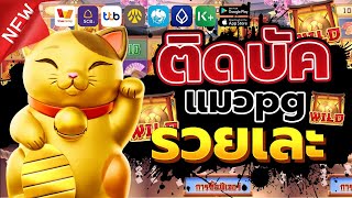 สล็อต lucky neko สล็อตpg แมวpg สล็อตแมว สล็อตแมงทอง