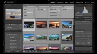 Lightroom Logistics: Part 3 - How To Search All Your Photos For Specific Data in Lightroom