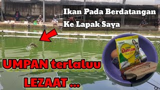 SUMPAH #UMPAN TERLALU LEZAT|| #IKAN BERDATANGAN KE LAPAK