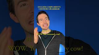 English With Chinese Grammar P4 (Compliments)