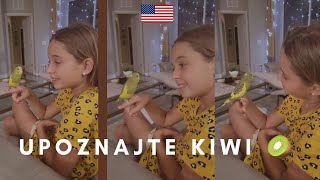 NOVI ČLAN NAŠE PORODICE/ Kiwi 🦜