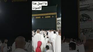 صوت جميل من الحرم المكي