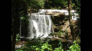 Along the Coos Bay Wagon Road from Roseburg to Dora - June 2024