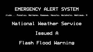 (EAS#201)(VERY RARE!!) Flash Flood Emergency