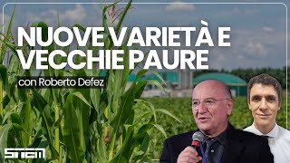 NUOVE VARIETÀ E VECCHIE PAURE - Sperimentazione in campo aperto di riso OGM con Roberto Defez