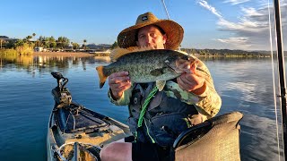 “Big AZ Smallmouth”- (Parker, Arizona)