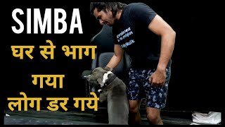 Simba घर से भाग गया | ShreeMan LegenD Simba