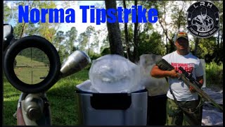 Ballistics gel hunting vs match bullets Episode 33 Norma Tipstrike