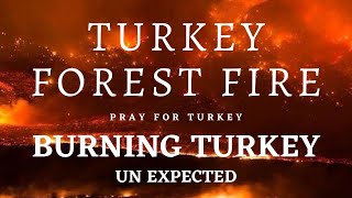 Turkey Forest Fire , Burning Turkey so sad Position Pray for Turkey