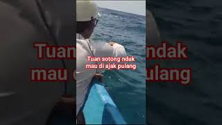 batal strike sotong #mancing #ultralightjigging