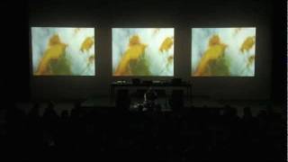 Flowers Into Stardust - Live at YCAM Japan - Christopher Willits