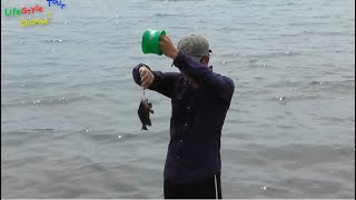 Fishing Vlog | Fishing Time and Walk around the Sea | FLV Official