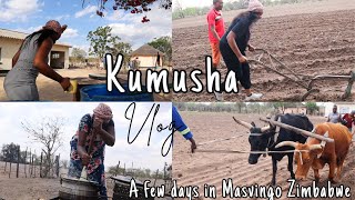 ZIMBABWE TRAVEL VLOG |Kumusha (Rural Area) | Masvingo | A few days in Masvingo | PART 2