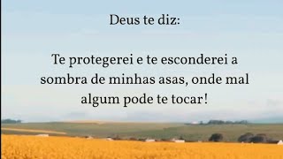 Deus te diz:Te protegerei e te esconderei a sombra de minhas asas, onde mal algum pode te tocar!