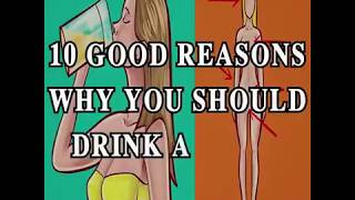 Every beer lover should watch this