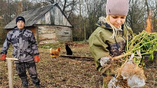 ЗАЖАЛИ ВСЮ КОРНЕВУЮ СИСТЕМУ. Убрали от поросли ХУТОР.  УДИВИТЕЛЬНОЕ ДЕРЕВО.