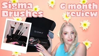 Sigma Ultimate Blending Brush Set, F87 Brush & 3DHD Blender 6 Month Review | And an Update