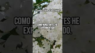 Dios te Promete:  Un año de Prosperidad, Buenos Vientos y Abundancia Financiera 🙌💸