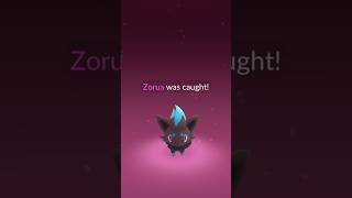 Shiny Zorua Pokemon GO