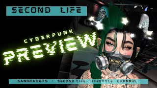 Second Life  l  PREVIEW cyberpunk images  l  damn good outfit series  l  Sandra8675