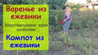 Заготавливаем корм кроликам / Варенье из ежевики / Компот из Ежевики / Деревенская жизнь