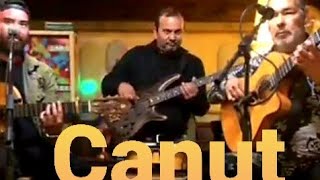 Canut Rayes (gipsy king) live