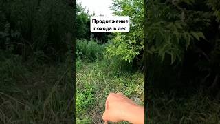 поход гнома в лес продолжение 2 часть #гном #гномы #рыцари