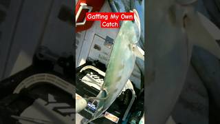 I Gaff my Own Catch #shorts #shortvideo #shortsfeed #fypシ #fishing #fish #ofw