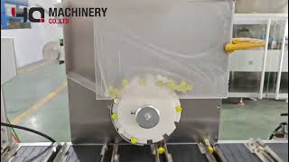 high speed lipstick box packaging machine with feeder|YQ horizontal cartoner