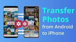 [3 Ways] How To Transfer Photos from Android to iPhone without Reset 2023