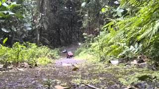 January 2014 crawling at Telok Blangah Hill Park