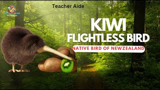 Kiwi | Flightless bird | Teacher Aide | Australia | English| Endangered