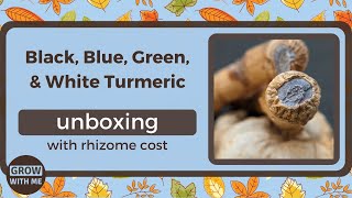 Black Turmeric, Blue Turmeric, Green Turmeric, White Turmeric & Black Ginger Unboxing