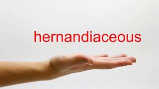 How to Pronounce hernandiaceous - American English