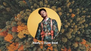 Nasty C Type Beat 2021